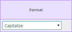 Format Dropdown List from the Field Map Designer screen