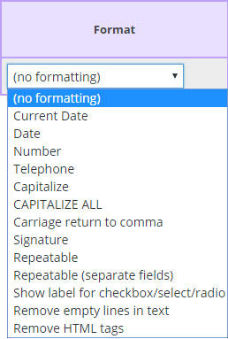 capitalize each word format option