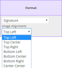 Format Dropdown List from the Field Map Designer screen