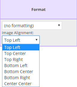 Format Dropdown List from the Field Map Designer screen